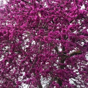 Meet your Posher, Ana